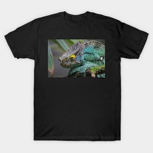 Parson's Chameleon T-Shirt